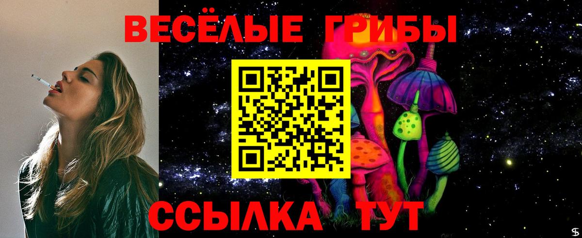 Псилоцибиновые грибы Psilocybe  Галлюциногенные грибы прущие грибы  Вход с VPN  Батайск 